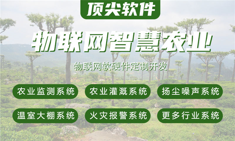 宁波物联网系统定制开发的流程有哪些？