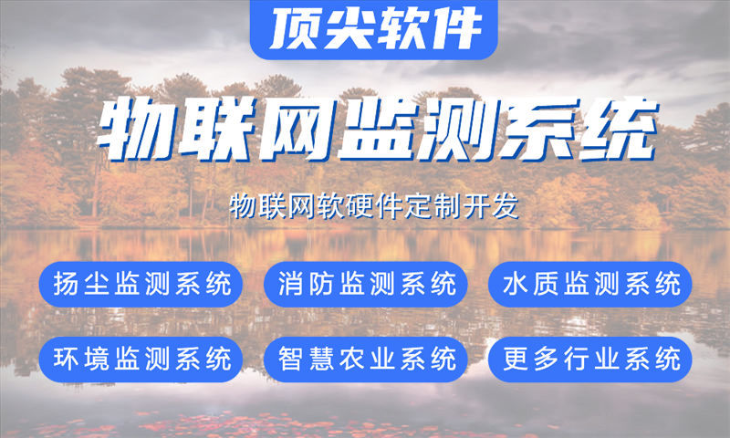 定制开发噪声在线监测系统流程是怎样的？