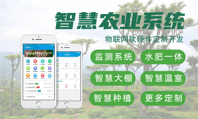 武汉物联网与单片机开发技术详解及项目实施建议