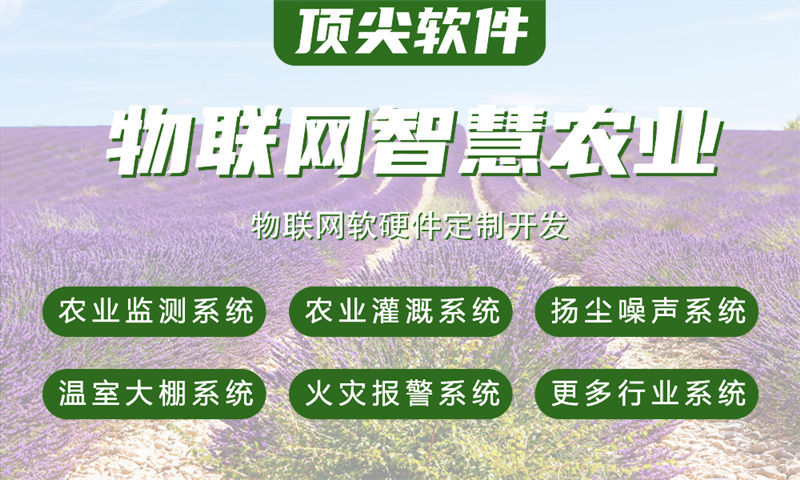 南京物联网与单片机开发技术详解及项目实施指南