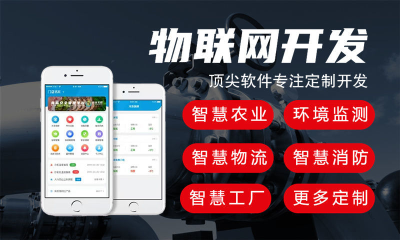 合肥物联网项目技术方案与实施指南
