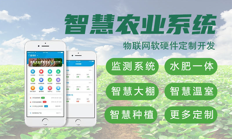 武汉物联网与单片机开发技术详解及项目实施指南