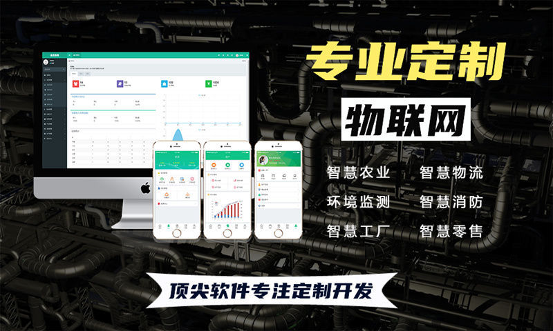 南京物联网与单片机技术应用详解——从水质检测到智能家居系统全面解析