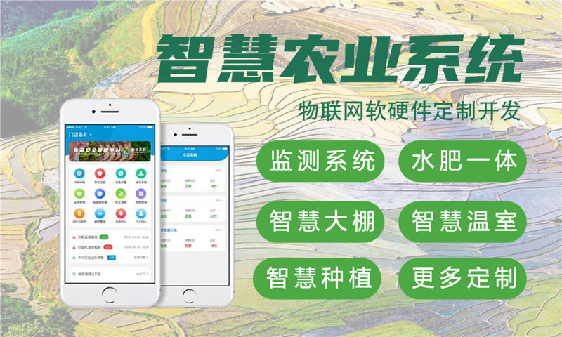 重庆物联网与单片机开发详解：水质检测、油烟监测及智能安防系统