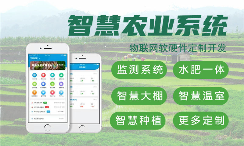 烟台物联网水质检测系统与STM32单片机智能安防应用详解
