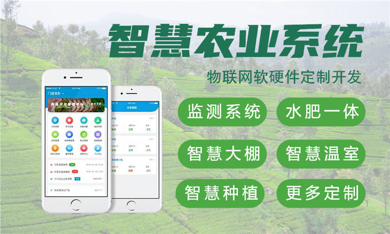 武汉物联网与单片机技术应用详解