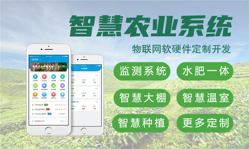 武汉物联网水质检测系统的案例展示与技术详解