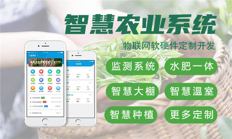 上海智能家居与智能安防集成的物联网解决方案