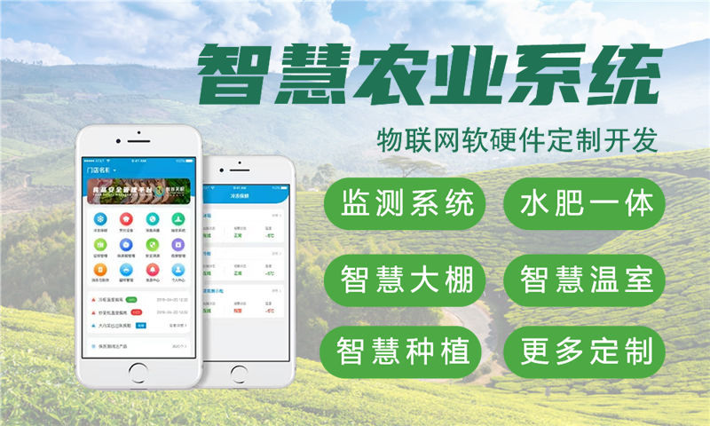 上海物联网与单片机开发技术详解——构建智能水质检测系统
