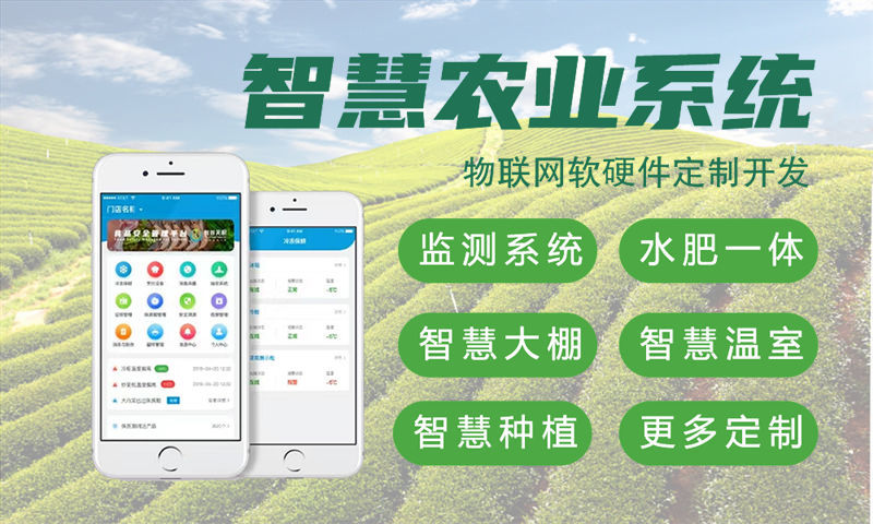 南京物联网解决方案与STM32 ESP系列单片机应用