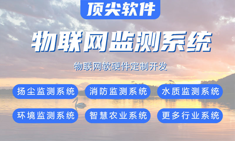 上海物联网解决方案专家分享：水质检测、油烟监测与道路交通智能管理系统的单片机开发技术详解