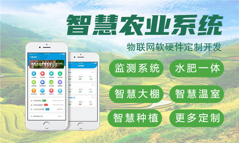 郑州物联网和单片机开发技术详解及项目实施指南