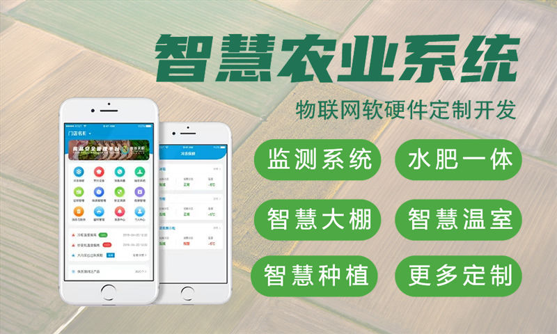 烟台物联网与单片机开发技术详解及项目实施指南