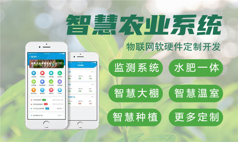 北京物联网与单片机开发技术详解及应用指南
