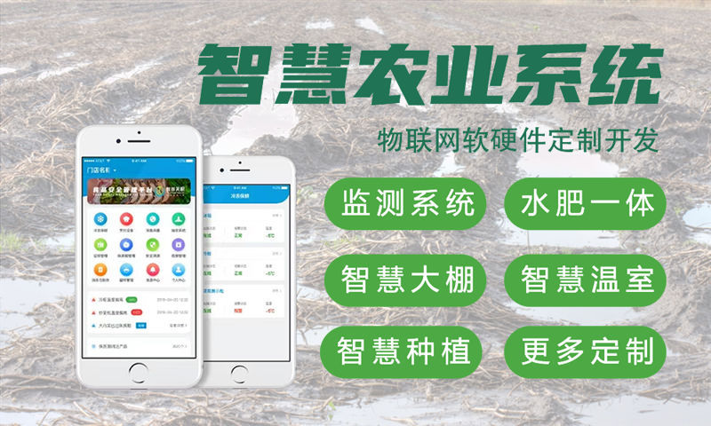 广州物联网与单片机开发技术详解及项目实施指南