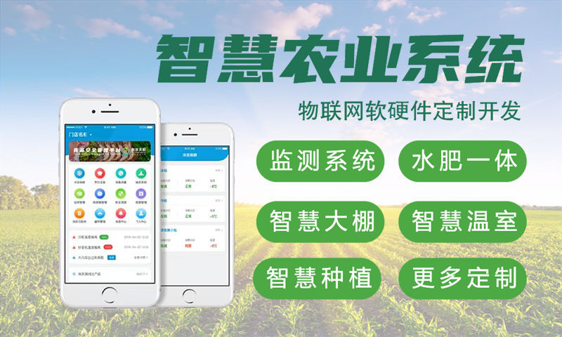 南通物联网单片机开发解决方案:基于STM32与ESP32的智能水质检测系统功能计划书