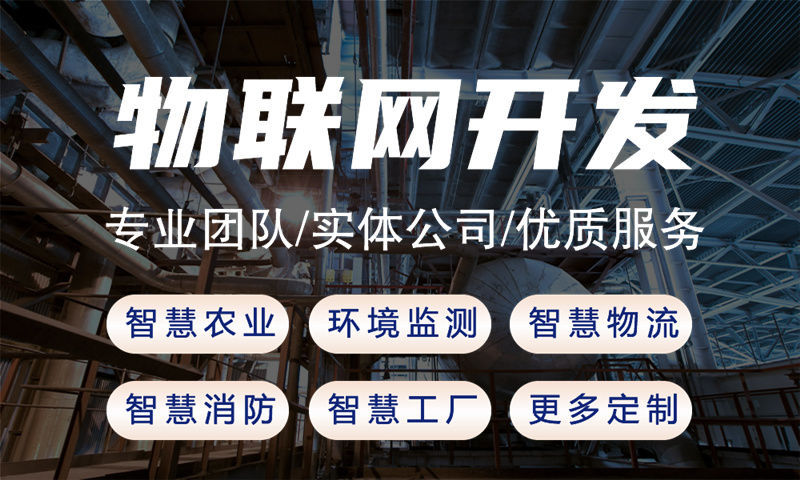 武汉物联网单片机开发解决方案：基于STM32与ESP32的智能水质监测系统设计与实施计划