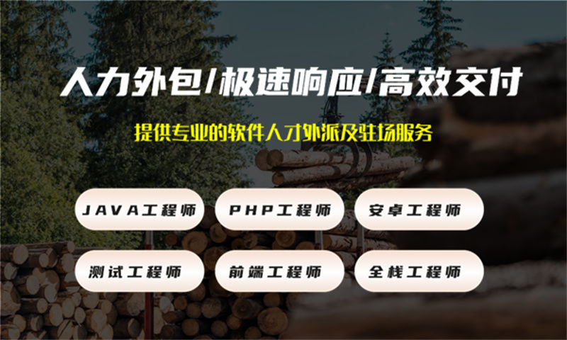 泉州程序员短期驻场开发：破解企业技术团队搭建难题的高效方案
