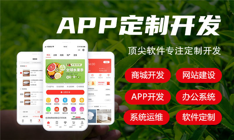 郑州排队免单商城系统定制模式开发解决方案